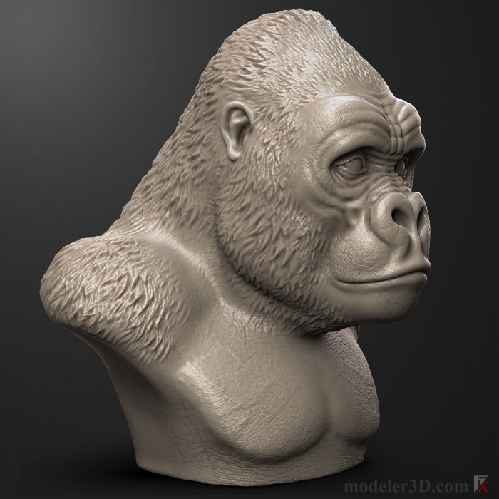 Gorilla Head 3d model
