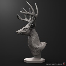 deer-4