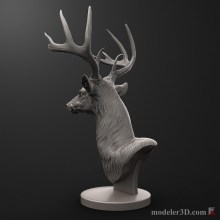 deer-5