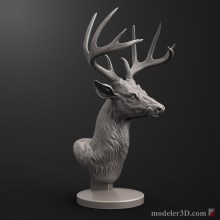 deer-6