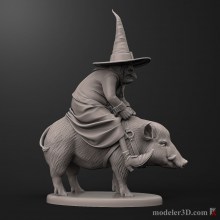 witch ride in on a pig 3D print model