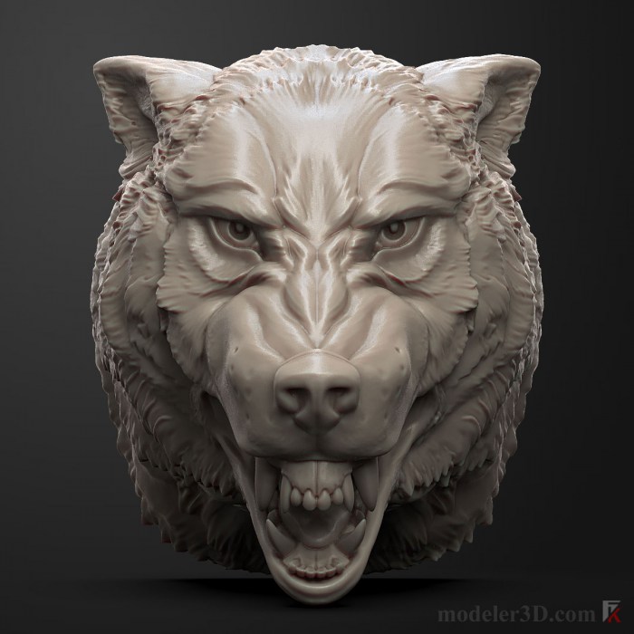Wolf Head Angry 3d Model