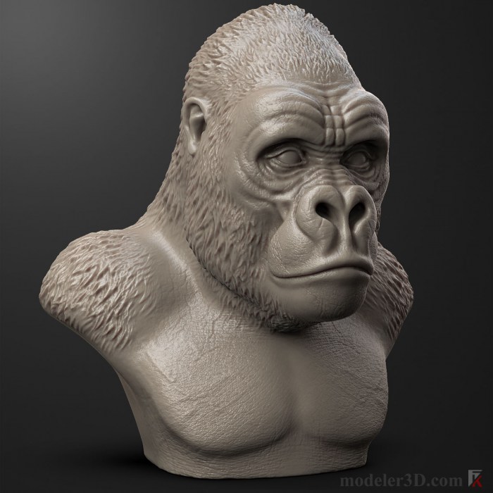 Gorilla Head 3d model